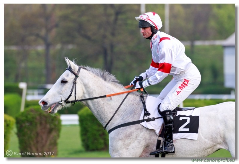 Bratislava - 09. aprla 2017 