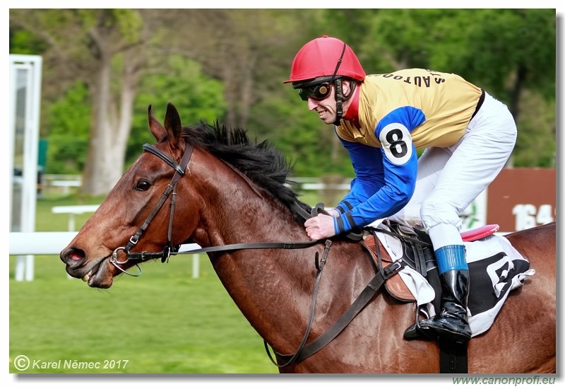 Bratislava - 16. aprla 2017 