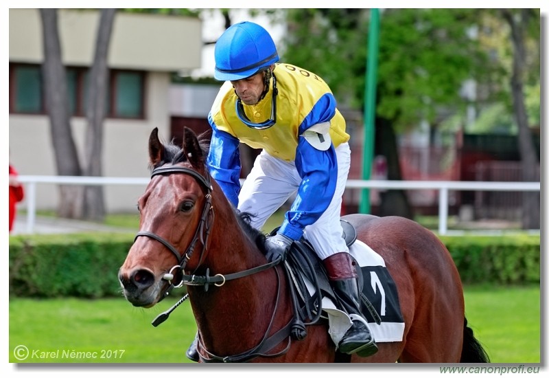 Bratislava - 23. aprla 2017 