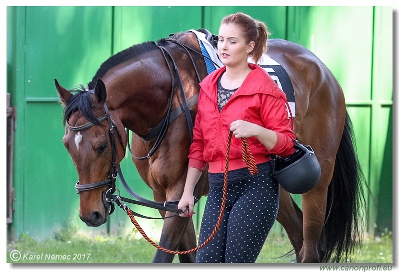 Bratislava - 14. mja 2017 