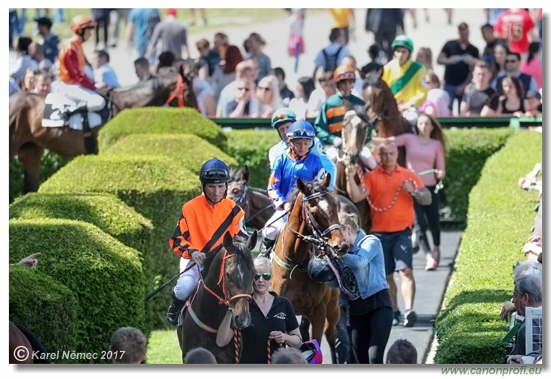 Bratislava - 14. mja 2017 
