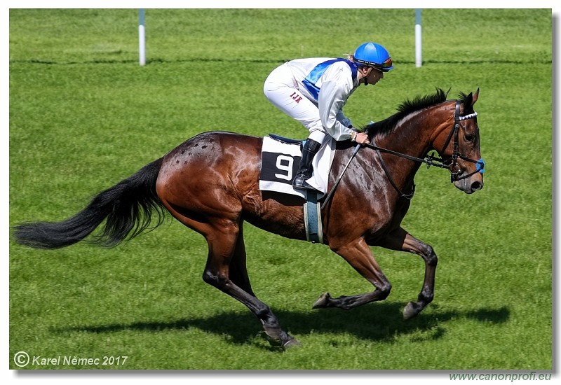 Bratislava - 14. mja 2017 