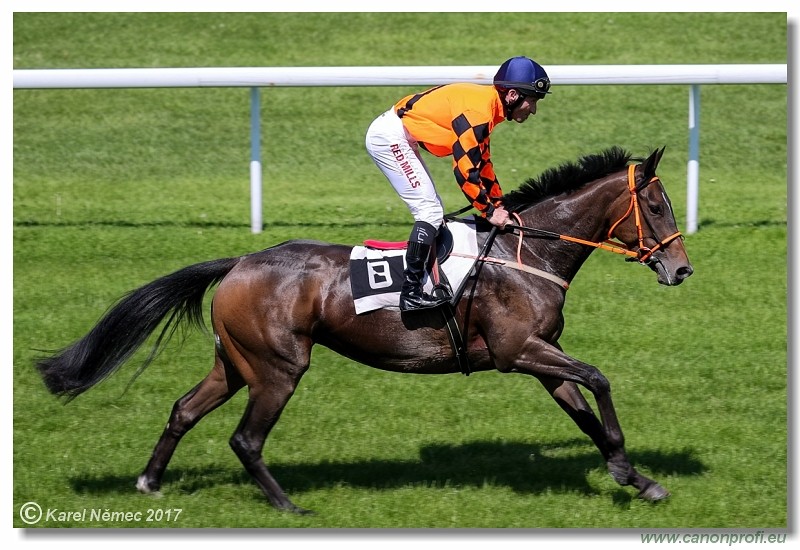 Bratislava - 14. mja 2017 