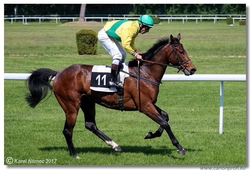 Bratislava - 14. mja 2017 