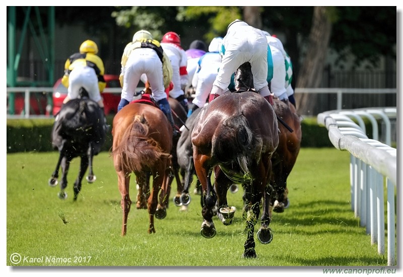 Bratislava - 14. mja 2017 