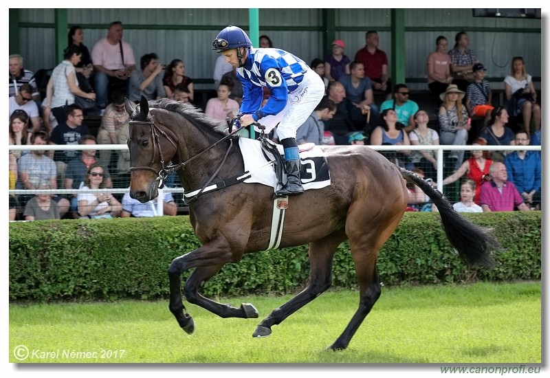Bratislava - 14. mja 2017 