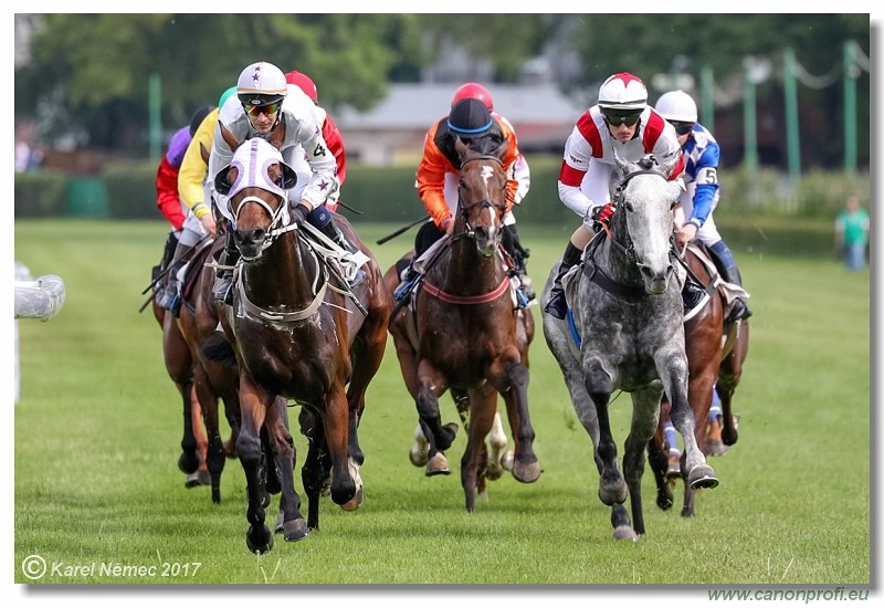 Bratislava - 14. mja 2017 