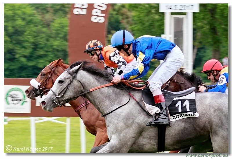 Bratislava - 14. mja 2017 