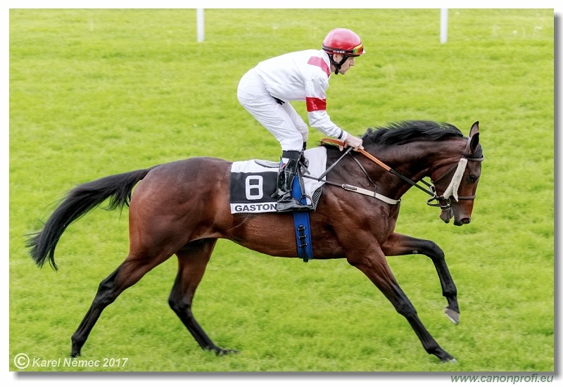 Bratislava - 14. mja 2017 