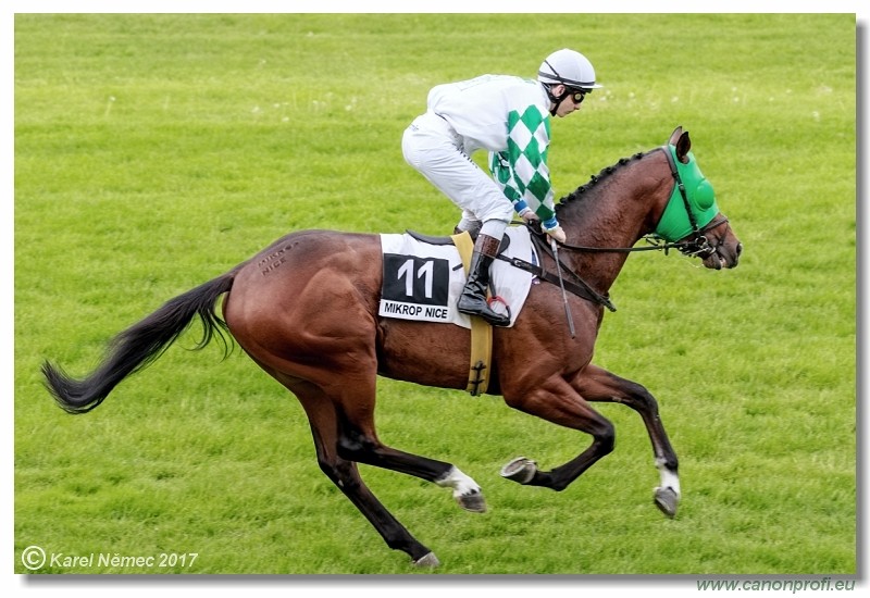 Bratislava - 14. mja 2017 