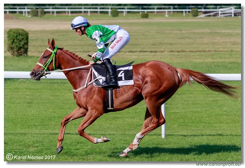 Bratislava - 24. jna 2017 