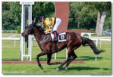 Memoril MVDr. Tibora Staa 