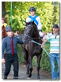 25. Slovensk derby 