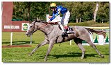 25. Slovensk derby 