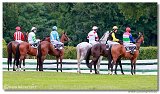 Vek starohjska steeplechase 