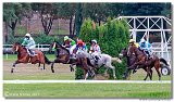 Vek starohjska steeplechase 