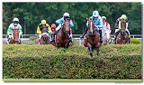 Vek starohjska steeplechase 