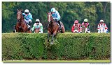 Vek starohjska steeplechase 