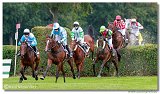 Vek starohjska steeplechase 