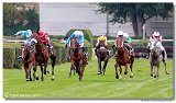 Vek starohjska steeplechase 