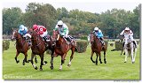 Vek starohjska steeplechase 