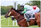 Vek starohjska steeplechase 