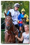 Slovensk St. Leger 