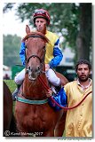 Slovensk St. Leger 