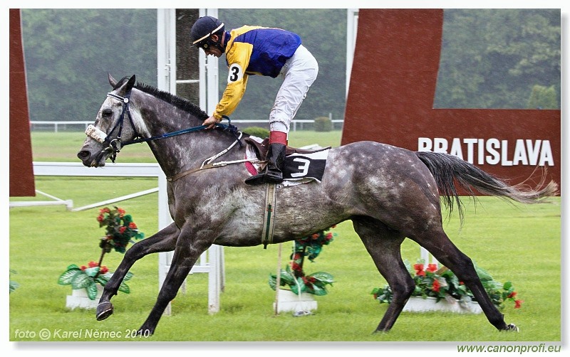 Bratislava - 16. mája 2010 