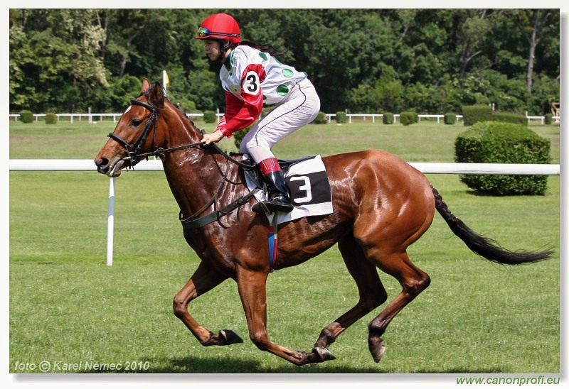 Bratislava - 23. mája 2010 