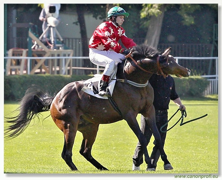 Bratislava - 23. mája 2010 