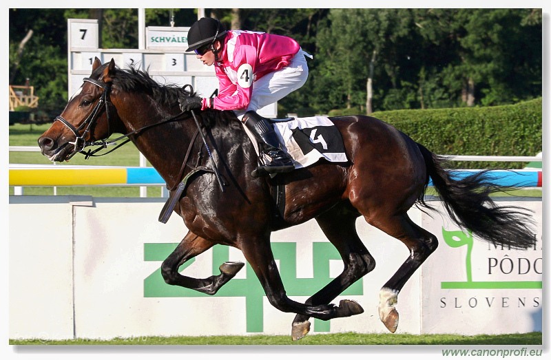 Bratislava - 06. júna 2010 