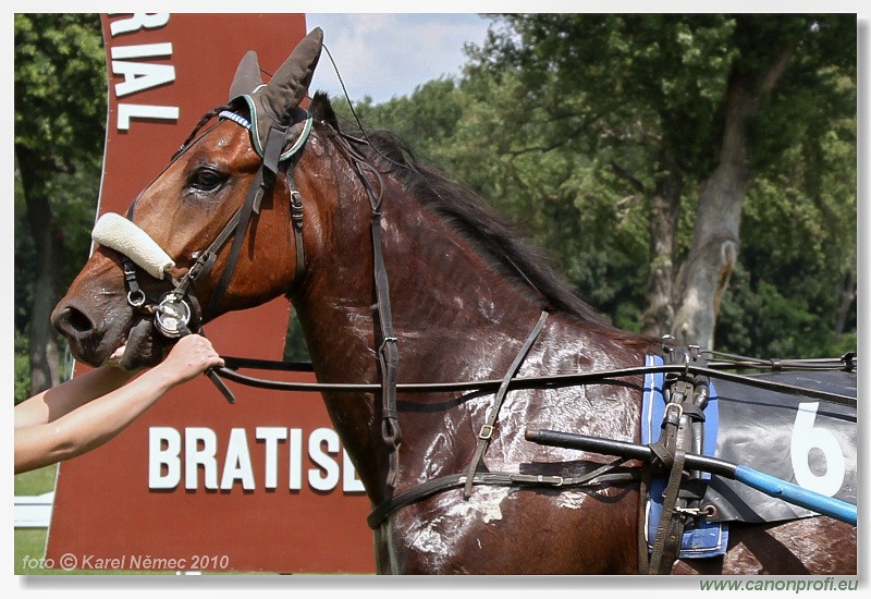 Bratislava - 26. júna 2010 