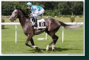 Derby-Trial