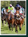 Derby-Trial