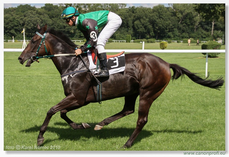 Bratislava - 14. augusta 2010 