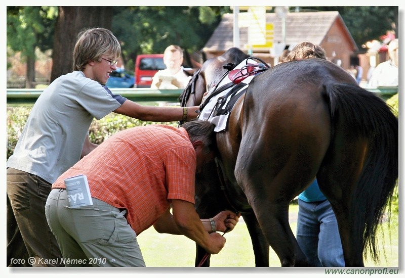 Bratislava - 14. augusta 2010 