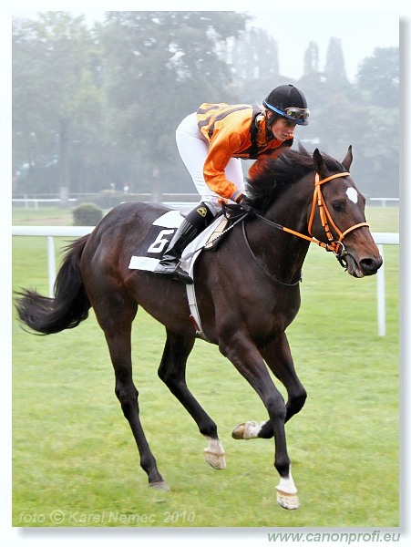 Bratislava - 17. októbra 2010 
