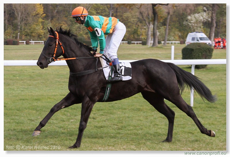 Bratislava - 31. októbra 2010 