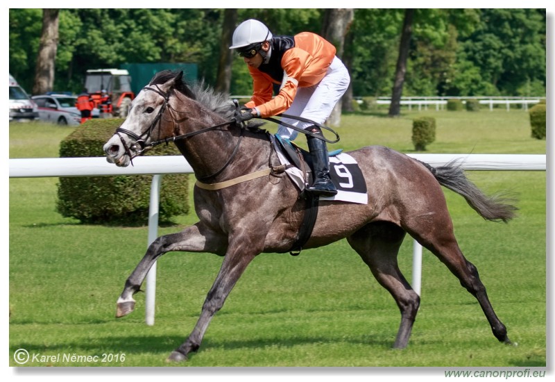 Bratislava - 15. mja 2016 