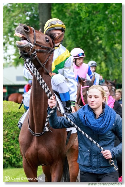 Bratislava - 15. mja 2016 