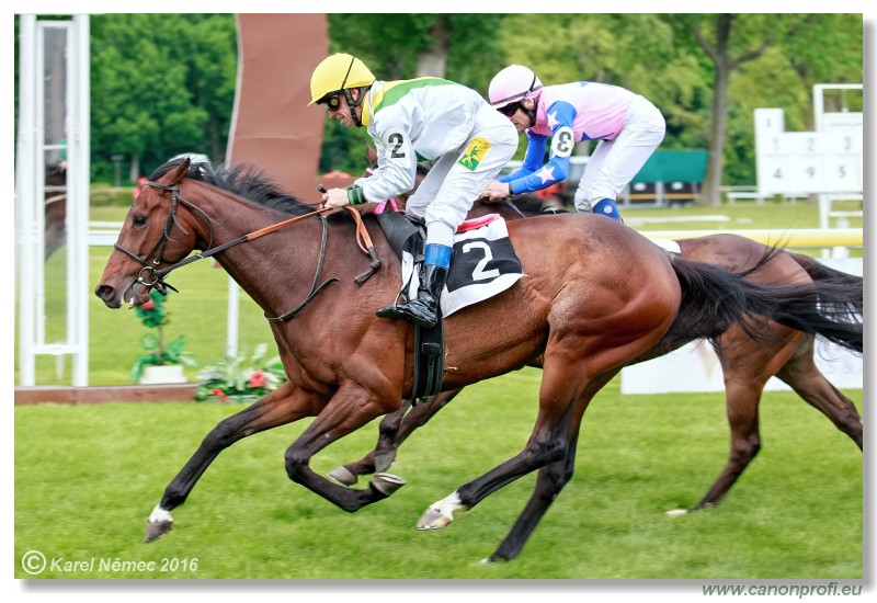 Bratislava - 15. mja 2016 