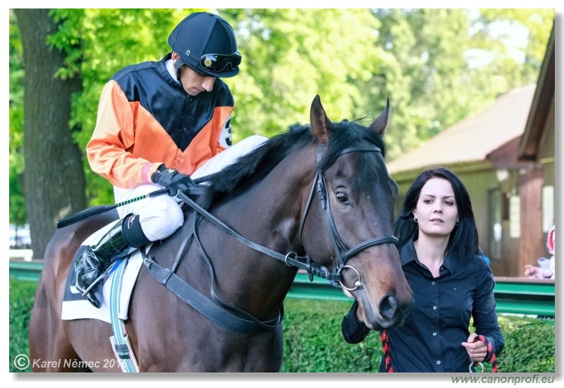 Bratislava - 15. mja 2016 