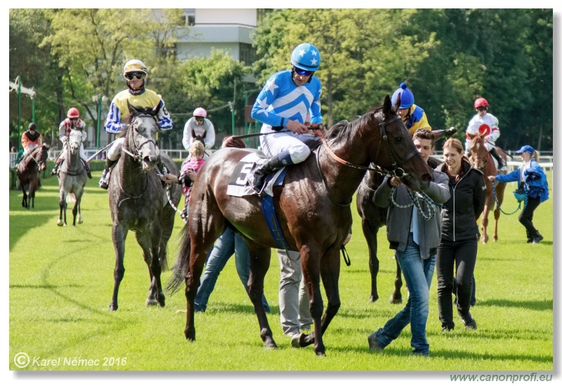 Bratislava - 15. mja 2016 