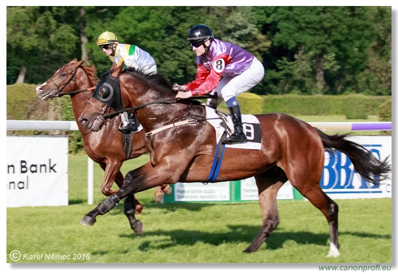 Bratislava - 15. mja 2016 