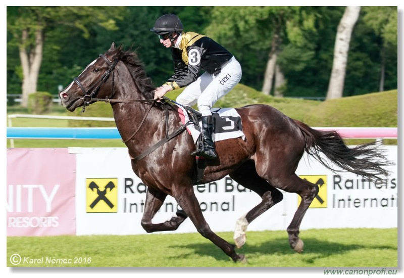 Bratislava - 15. mja 2016 