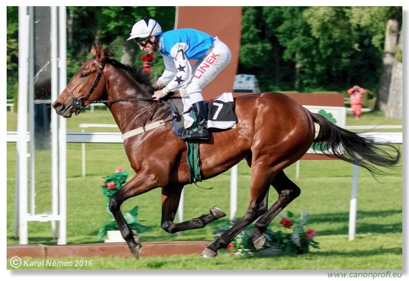 Bratislava - 15. mja 2016 