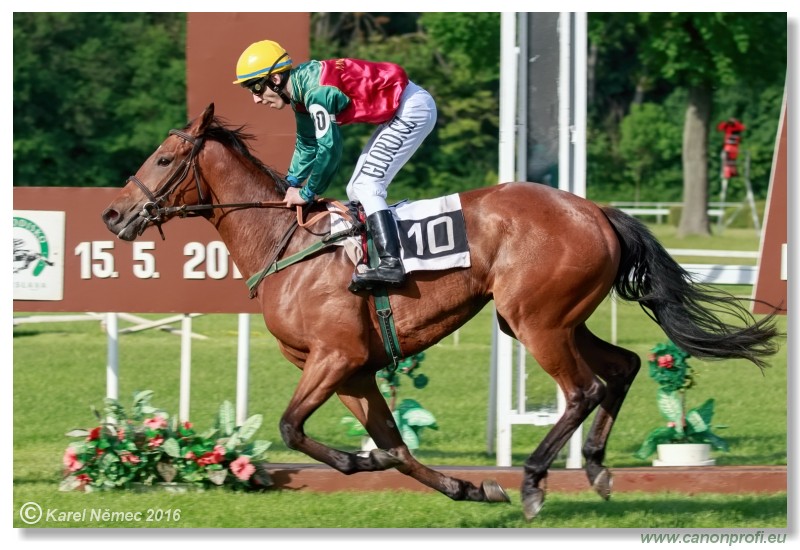 Bratislava - 15. mja 2016 