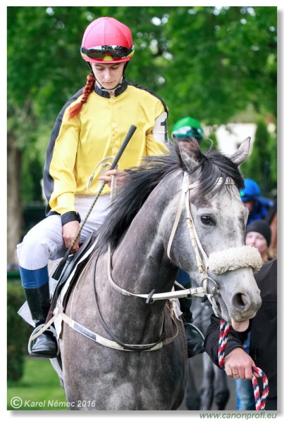 Bratislava - 15. mja 2016 