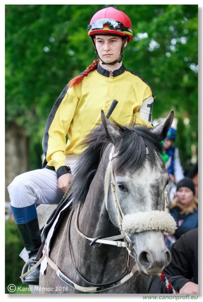 Bratislava - 15. mja 2016 